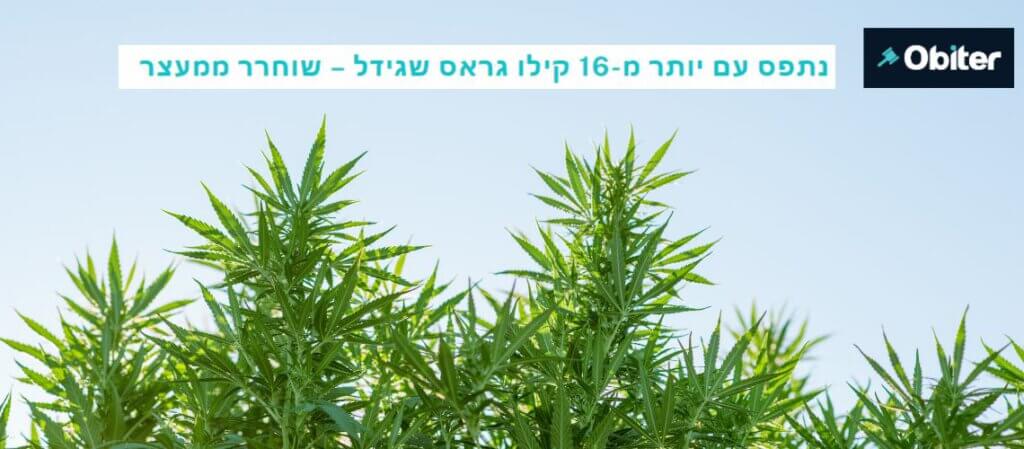 עו"ד איתמר פלג - אוביטר